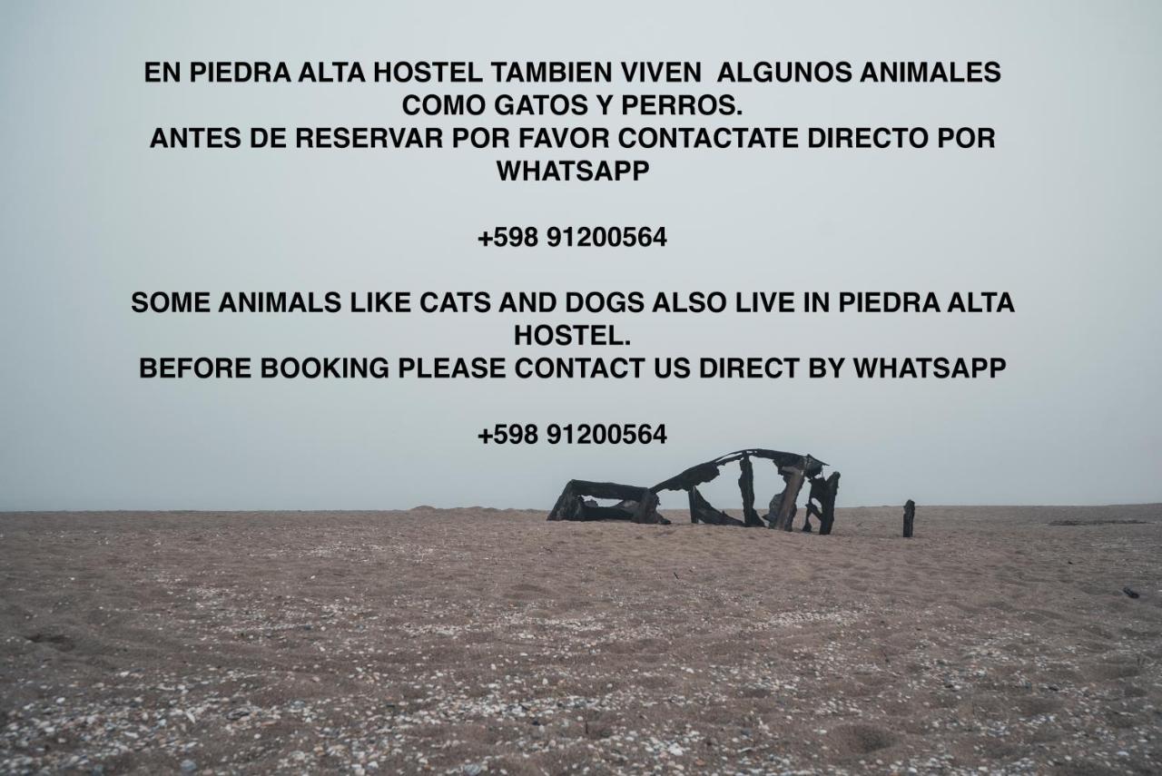 Piedra Alta Hostel & Suites La Pedrera Eksteriør bilde